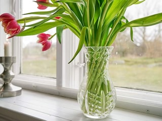 Vakantiehuis Hasle  22
