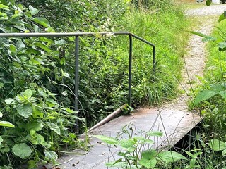 Vakantiehuis Aalbæk Buitenaudio-opname 7