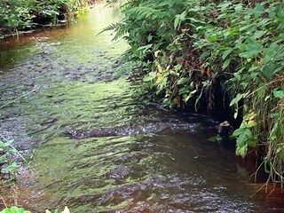 Vakantiehuis Aalbæk Buitenaudio-opname 5