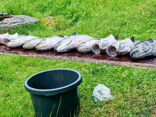 Vakantiehuis Eidsvåg  36