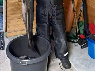 Maison de vacances Eidsvåg  39