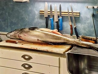 Ferienhaus Eidsvåg  40