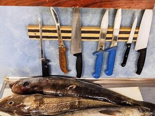 Maison de vacances Eidsvåg  47