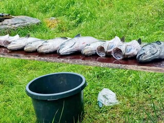 Casa per le vacanze Eidsvåg  29