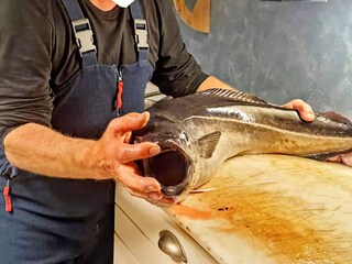 Casa per le vacanze Eidsvåg  24