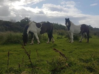 Casa per le vacanze Fjerritslev  14
