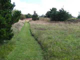 Vakantiehuis Fjerritslev  25