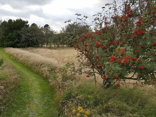 Ferienhaus Fjerritslev  32