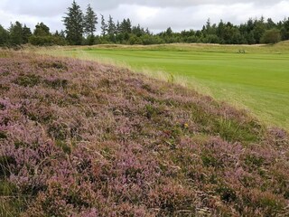 Casa de vacaciones Fjerritslev  37