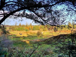 Holiday house Fjerritslev  29