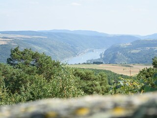 Appartement de vacances St. Goar Environnement 33