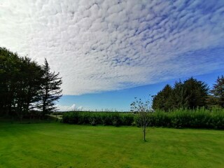 Holiday house Saltum Outdoor Recording 6