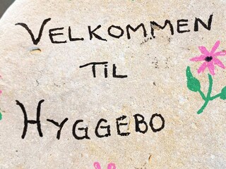 Casa per le vacanze Otterup Registrazione all'aperto 3