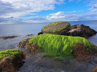 Vakantiehuis Otterup  16