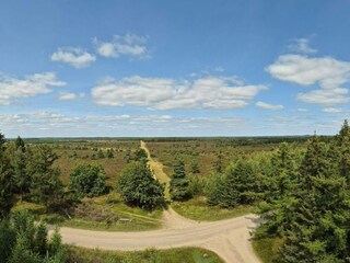 Ferienhaus Hovborg  31