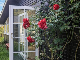 Vakantiehuis Tversted  42