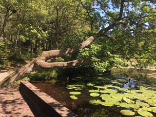 Ferienhaus Tversted  38