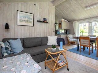 Ferienhaus Skiveren  2