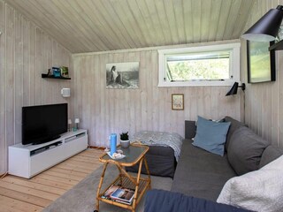 Ferienhaus Skiveren  4