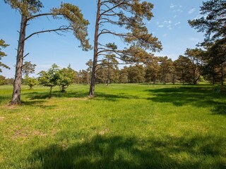 Holiday house Skiveren  20