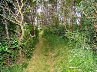 Casa per le vacanze Ydby Registrazione all'aperto 5