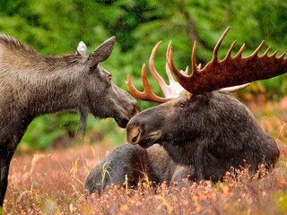 Maison de vacances Welt  25