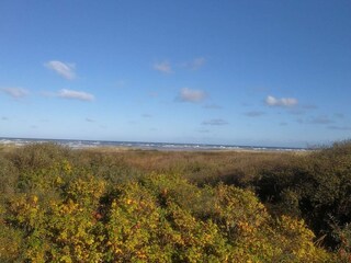 Vakantiehuis Tversted  8