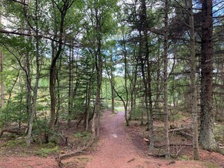 Casa per le vacanze Tversted  31