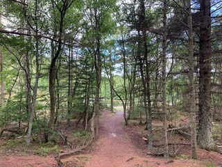 Casa per le vacanze Tversted  25