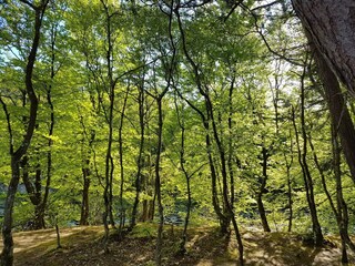 Casa per le vacanze Tversted  28