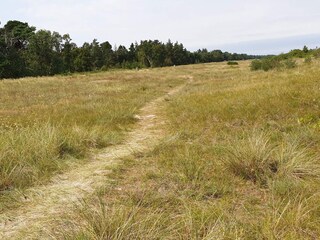 Vakantiehuis Vaeggerløse  17