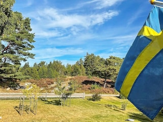 Vakantiehuis Ellös Buitenaudio-opname 2