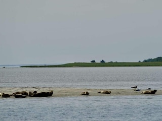 Vakantiehuis Als  22