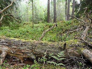 Holiday house Växjö  42