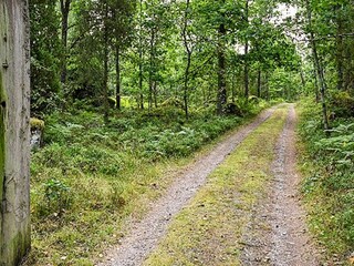 Casa de vacaciones Växjö  43