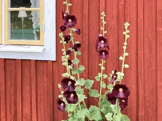 Holiday house Växjö  44