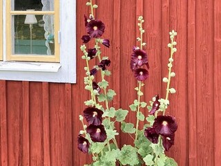 Casa de vacaciones Växjö  30