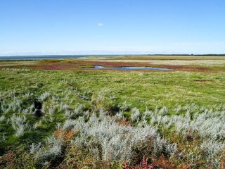 Vakantiehuis Læsø  33