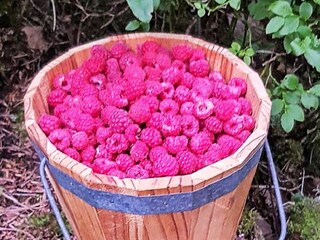 Casa per le vacanze Upphärad  31