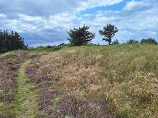 Casa per le vacanze Skagen  18