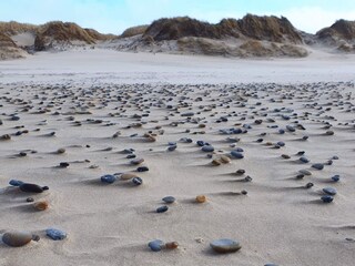 Casa per le vacanze Søndervig  11