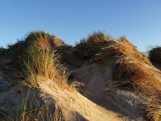 Vakantiehuis Søndervig  32