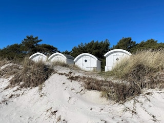 Casa per le vacanze Landskrona  18