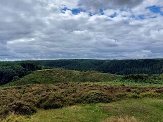 Holiday house Skagen  7