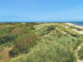 Ferienhaus Skagen  8