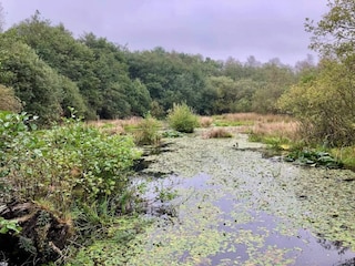 Vakantiehuis Ansager  24