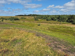 Holiday house Tisvildeleje  7