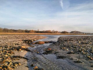 Ferienhaus Rønde  22