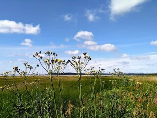 Ferienhaus Rønde  33