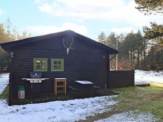 Ferienhaus Blåvand  4